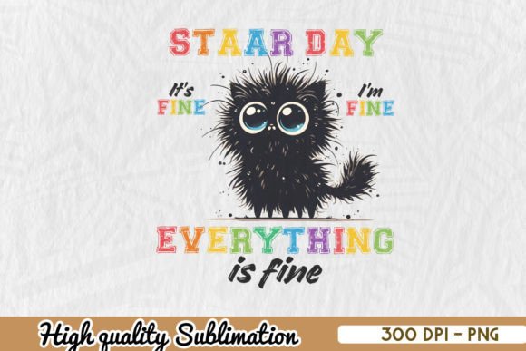 Test Day Black Cat Teacher Sublimation Graphics